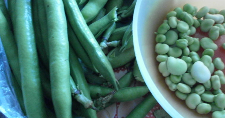 ZUPPA DI FAVA E VERDURE